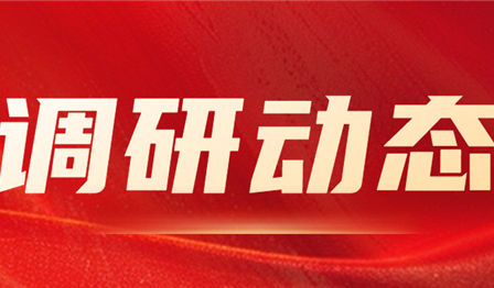 集团公司纪委委员、总管帐师袁媛赴老子有钱lzyq88公司发展资产治理专项调研